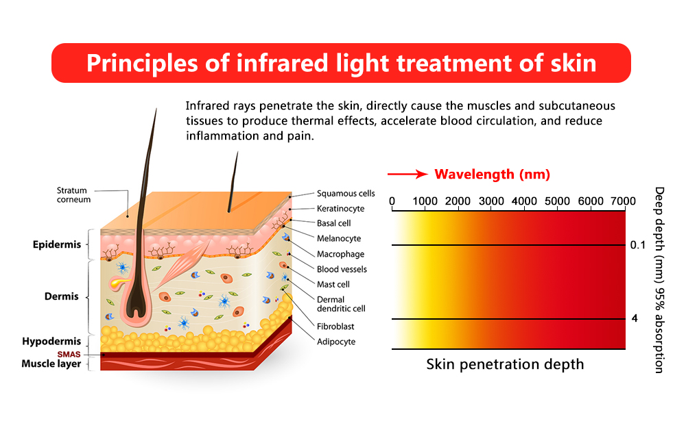 Red light therapy: currently the best method to enhance the immune system